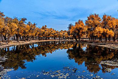 《绝命毒师》屠库扮演者携手多人生存《人渣 SCUM》，亮相Steam春季促销